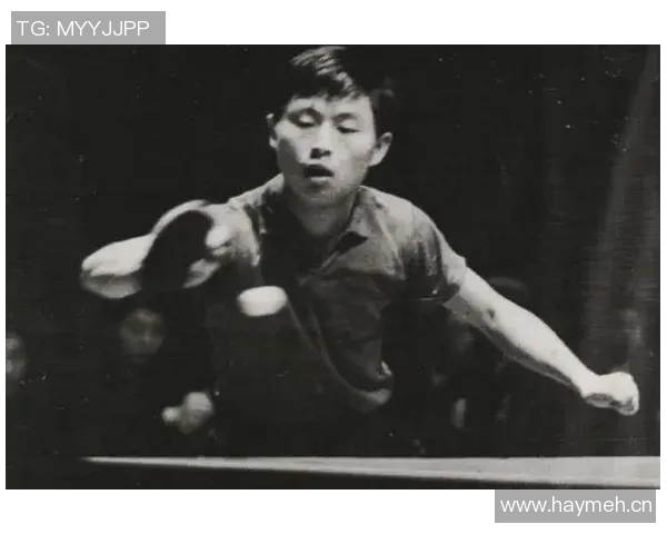 深度对话:探寻杨秀英乒乓球人生背后的奋斗与荣耀 深度对话:探寻杨秀英乒乓球人生背后的奋斗与荣耀